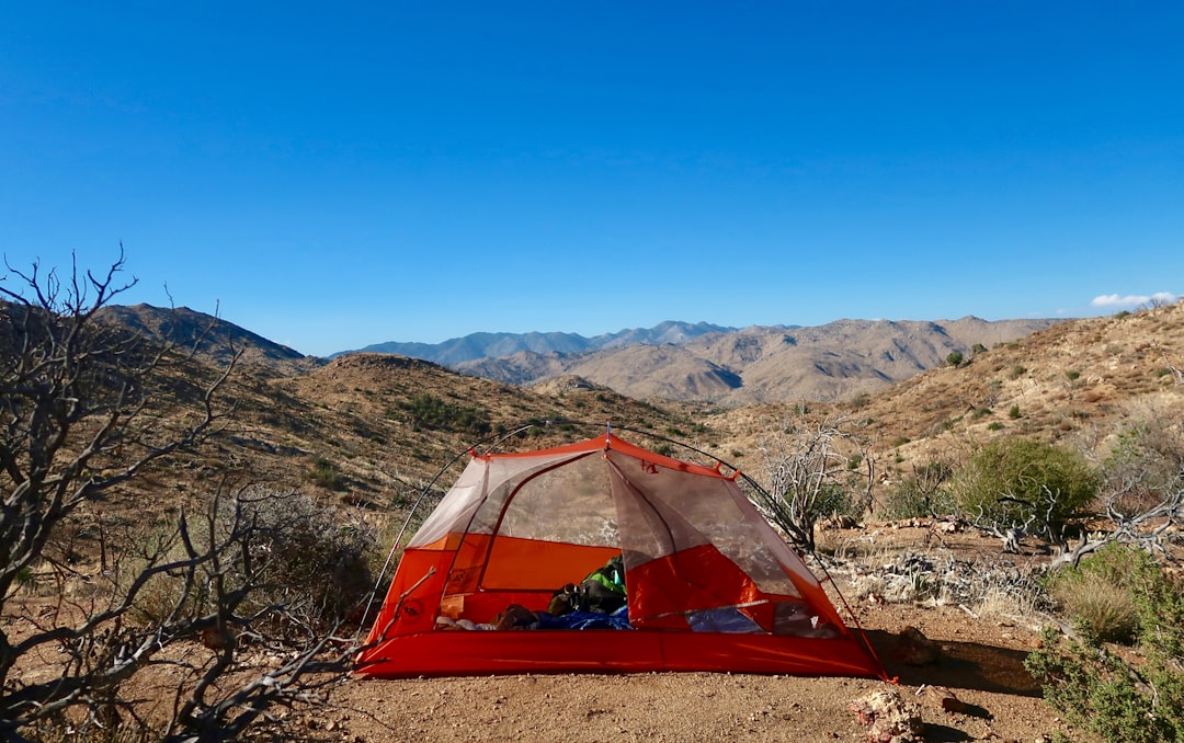The Ultimate Guide to Must-Have Camping Gear for Everyone The Ultimate Guide to Must-Have Camping Gear for Everyone